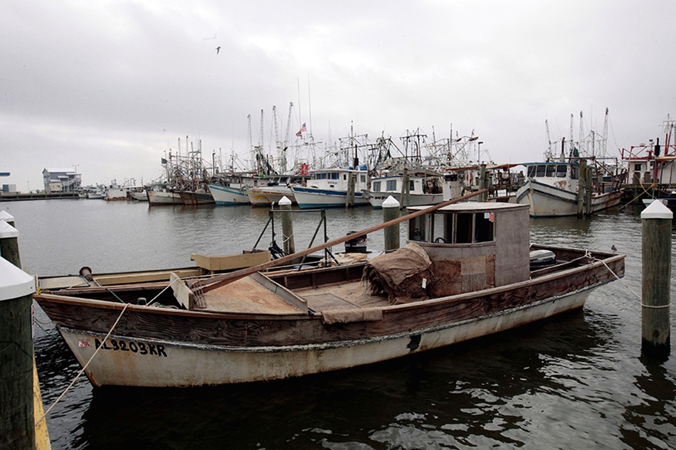A kiterjedt olajszennyezés miatt a környék halászai munka nélkül maradtak.