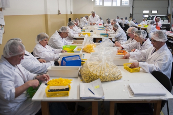 Galéria: Kinder-tojásokban lévő játékok alkatrészeit szerelik össze Pécsen